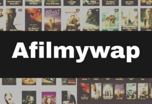 Read more about the article Afilmywap.in Movie 2024 – Watch Latest HD Bollywood, Hollywood Movies on afilmywap guru afilmywap.hit, AFilmywap.com