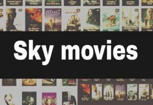 Read more about the article SkymoviesHD.in 2024 – Latest New Bollywood, Hollywood, Telugu, Tamil Movies Download