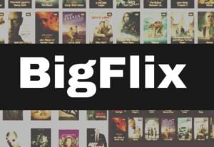 Read more about the article BigFlix 2023 – Watch Movies And Tv Shows Free to Watch, Latest BigFlix News And Updates