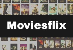 Read more about the article Moviesflix.com 2023 – Latest HD Movie Download Website Moviesflix.vpn