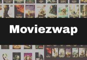 Read more about the article Moviezwap 2024 – Moviezwaporg Latest HD Telugu, Bollywood, Hollywood, Tamil Movie download