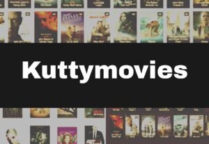 Read more about the article Kuttymovies 2023 – Kuttymovies.com Latest HD Tamil Movies Download