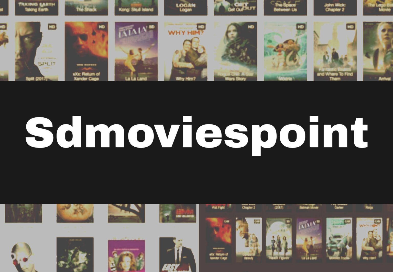 SD Movie Point SD Movie Point Latest Website