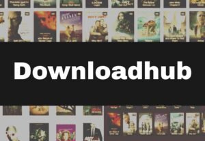 Read more about the article Downloadhub 2024 – Watch HD 300MB Dual Audio Bollywood, Hindi, Punjabi Movies