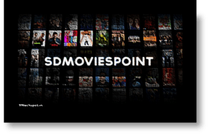 Read more about the article 1sdmoviespoint.com 2024 – SDMoviesPoint Download Latest HD Movies